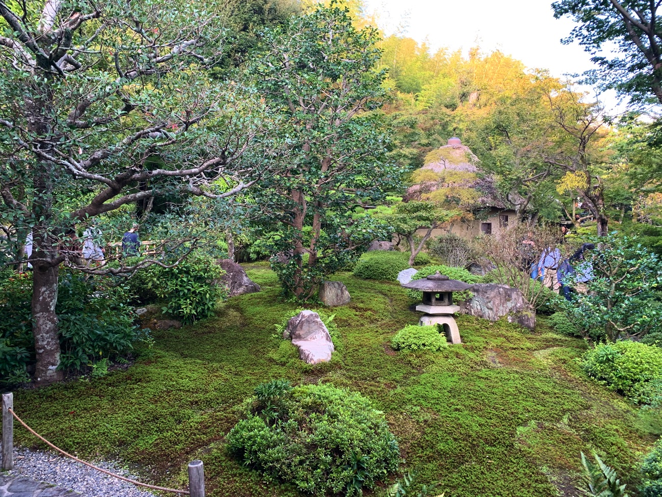 「鈴虫寺」の庭園
